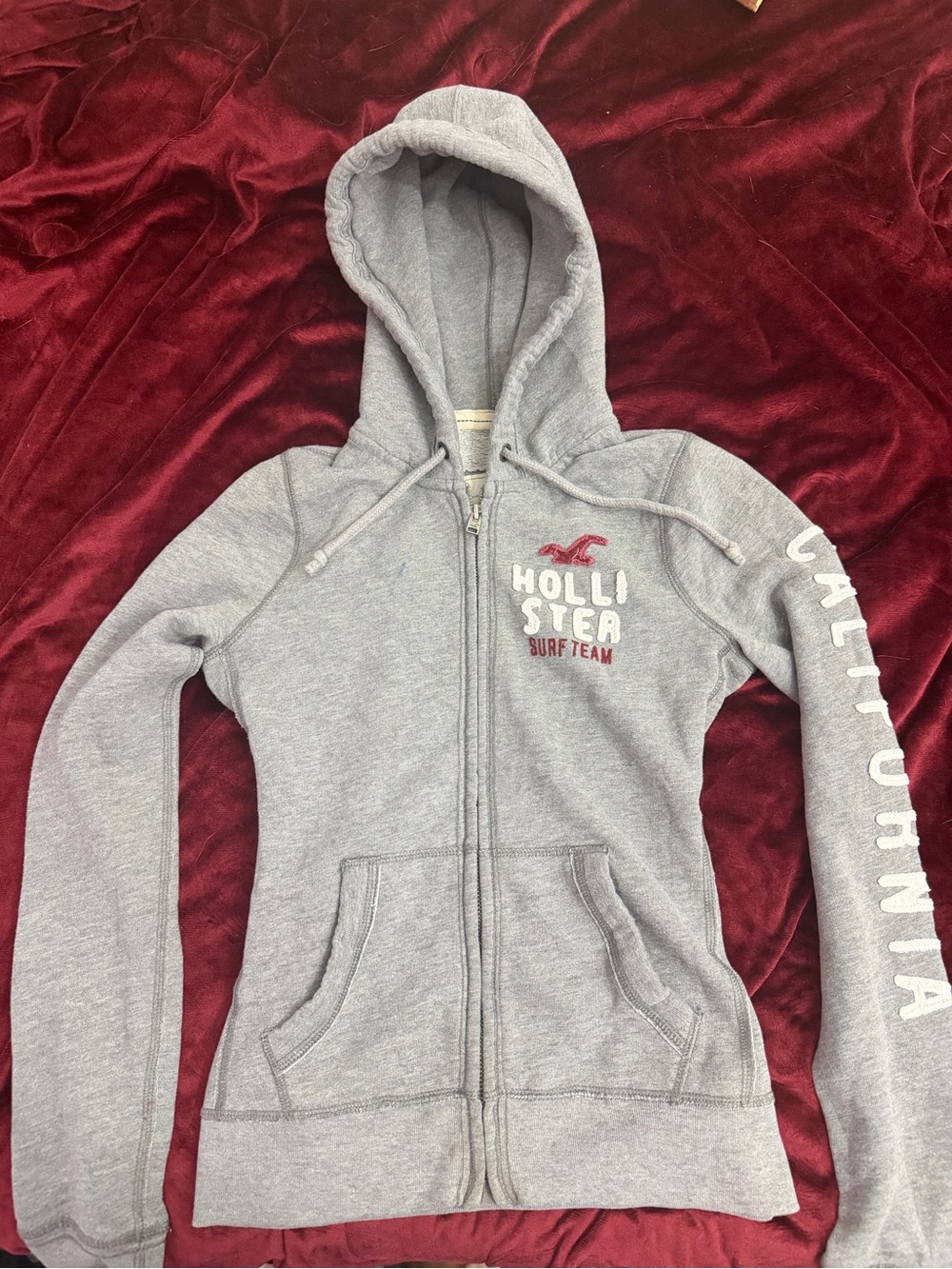 Vintage Hollister Gray Zip-Up Hoodie - Surf Team